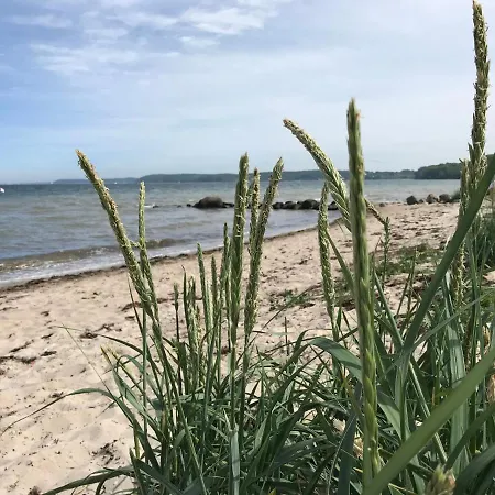 Holiday home Hein Mueck *
